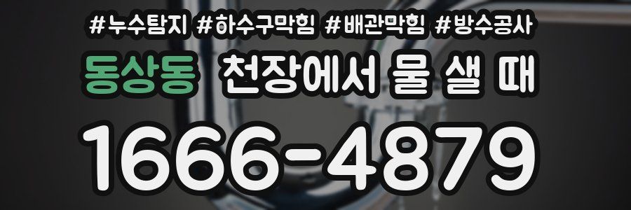 동상동 천장에서 물 샐 때
