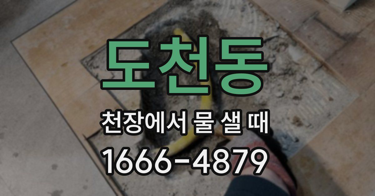 도천동 천장에서 물 샐 때