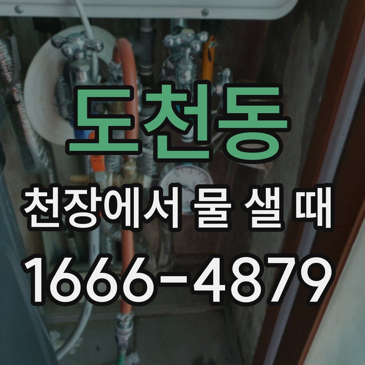 도천동 천장에서 물 샐 때