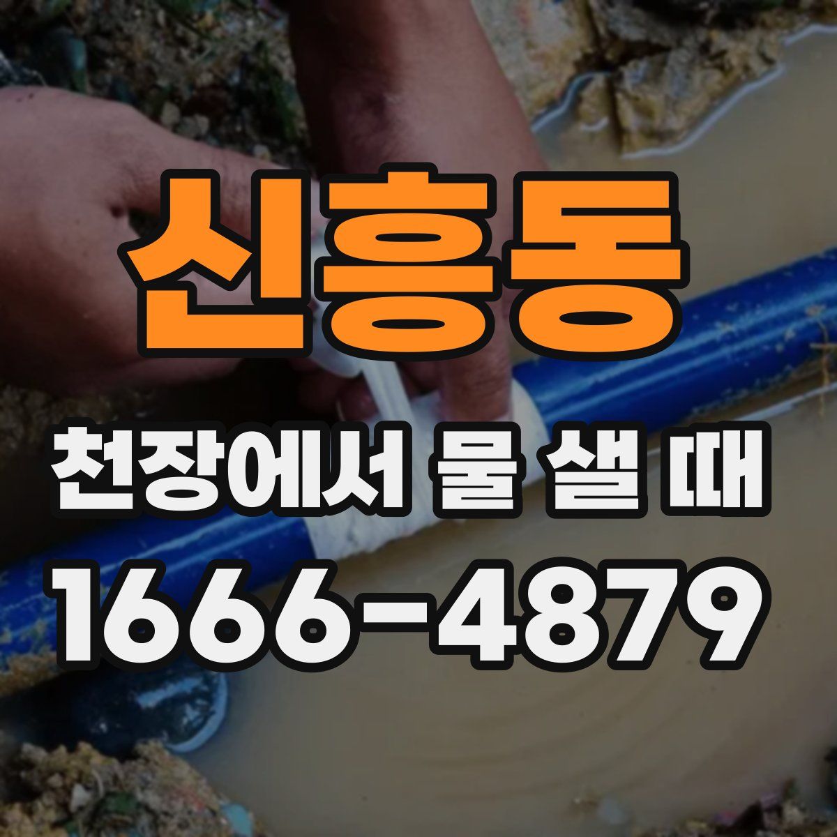 신흥동 천장에서 물 샐 때