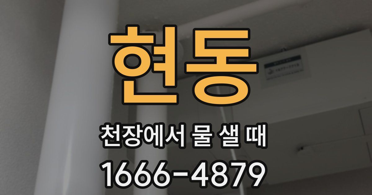 현동 천장에서 물 샐 때