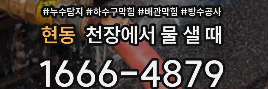 현동 천장에서 물 샐 때