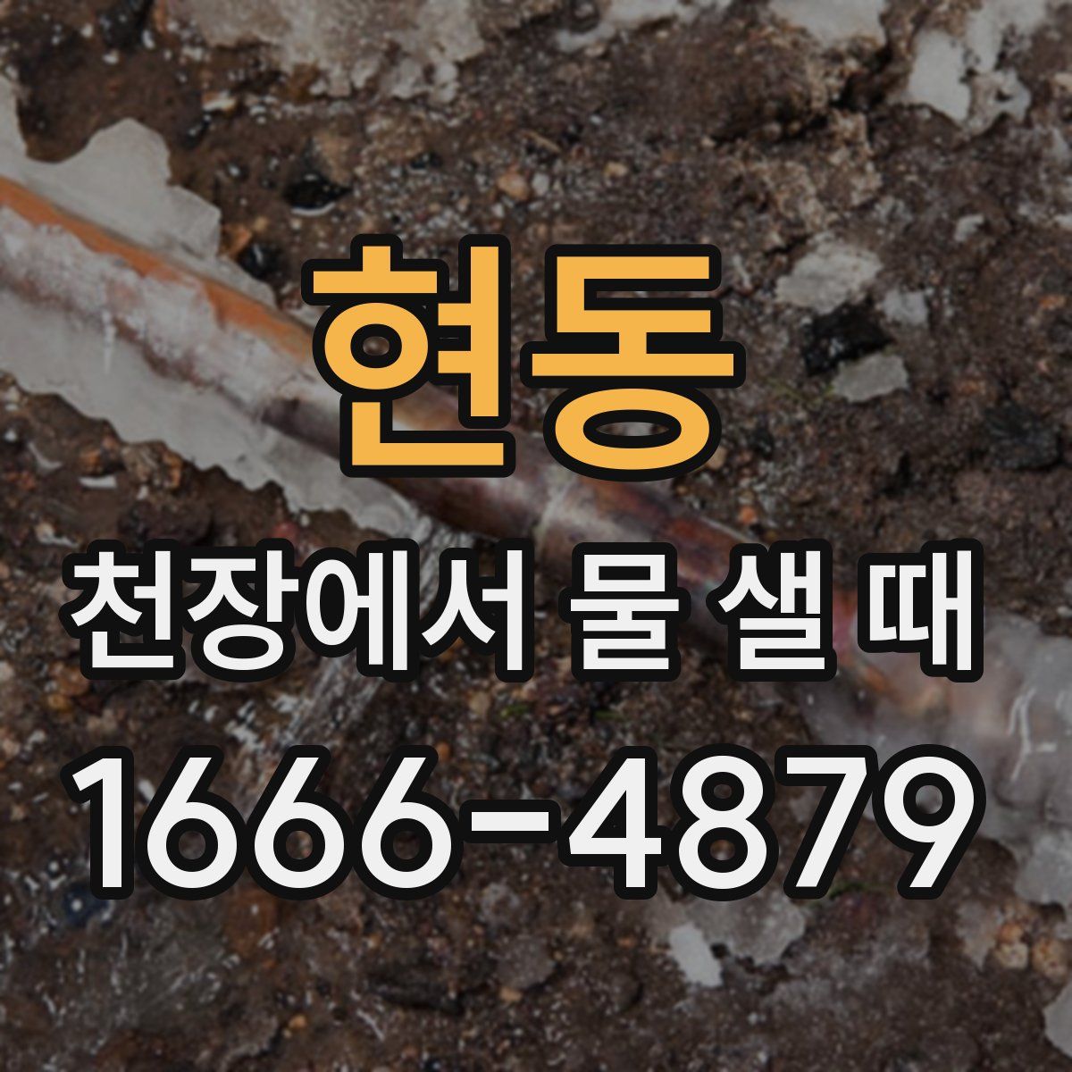 현동 천장에서 물 샐 때