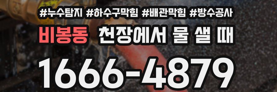 비봉동 천장에서 물 샐 때