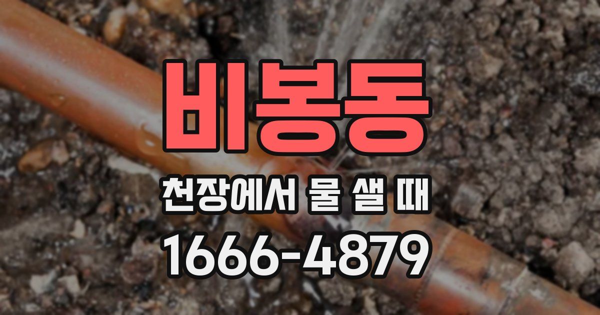 비봉동 천장에서 물 샐 때