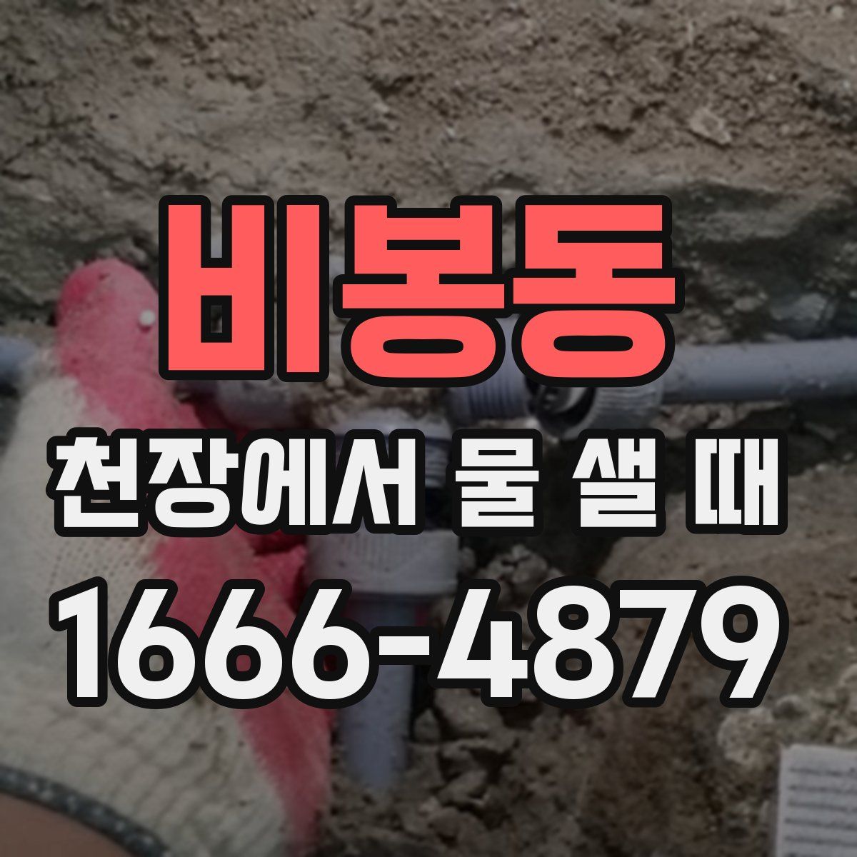 비봉동 천장에서 물 샐 때