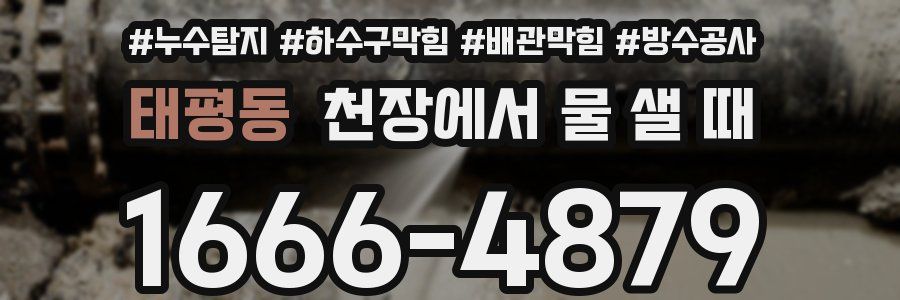 태평동 천장에서 물 샐 때