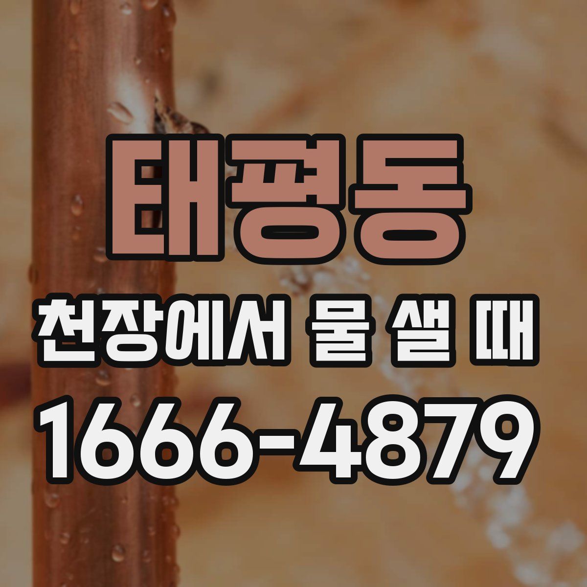태평동 천장에서 물 샐 때