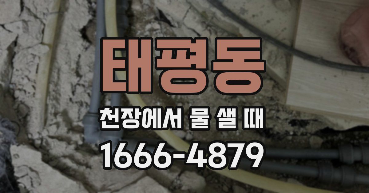 태평동 천장에서 물 샐 때