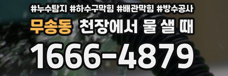 무송동 천장에서 물 샐 때