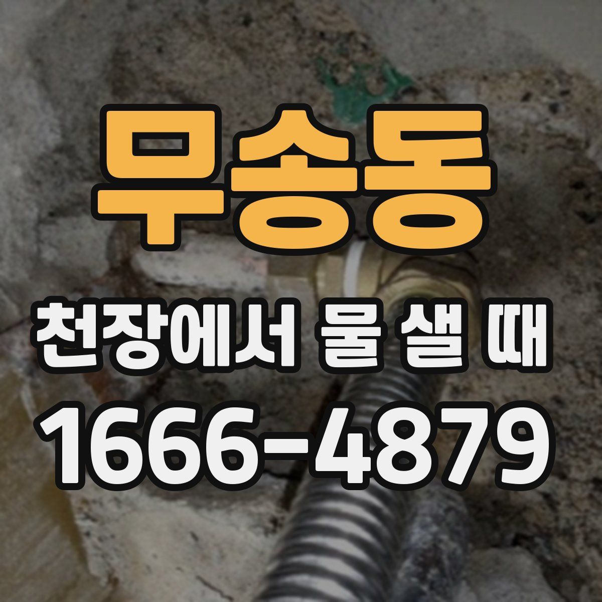 무송동 천장에서 물 샐 때