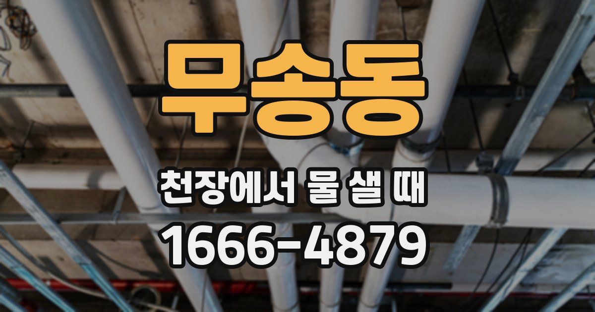 무송동 천장에서 물 샐 때
