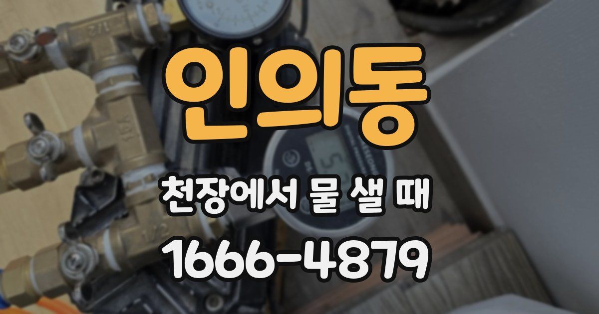 인의동 천장에서 물 샐 때