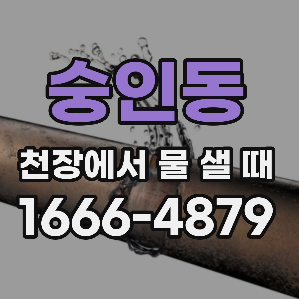 숭인동 천장에서 물 샐 때