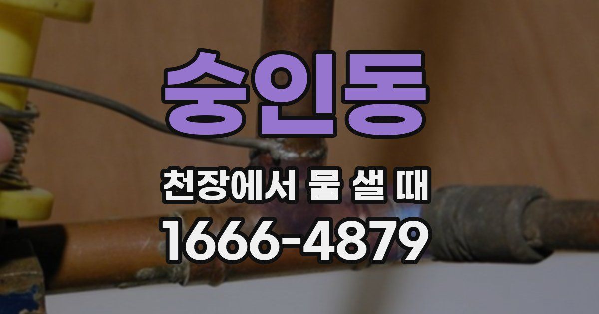 숭인동 천장에서 물 샐 때