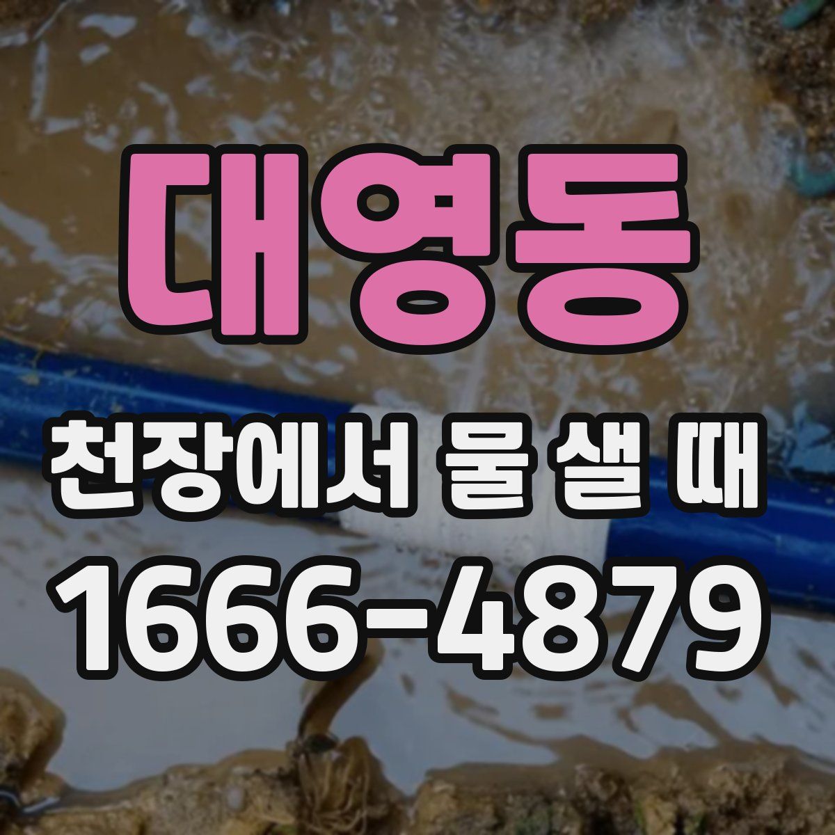 대영동 천장에서 물 샐 때