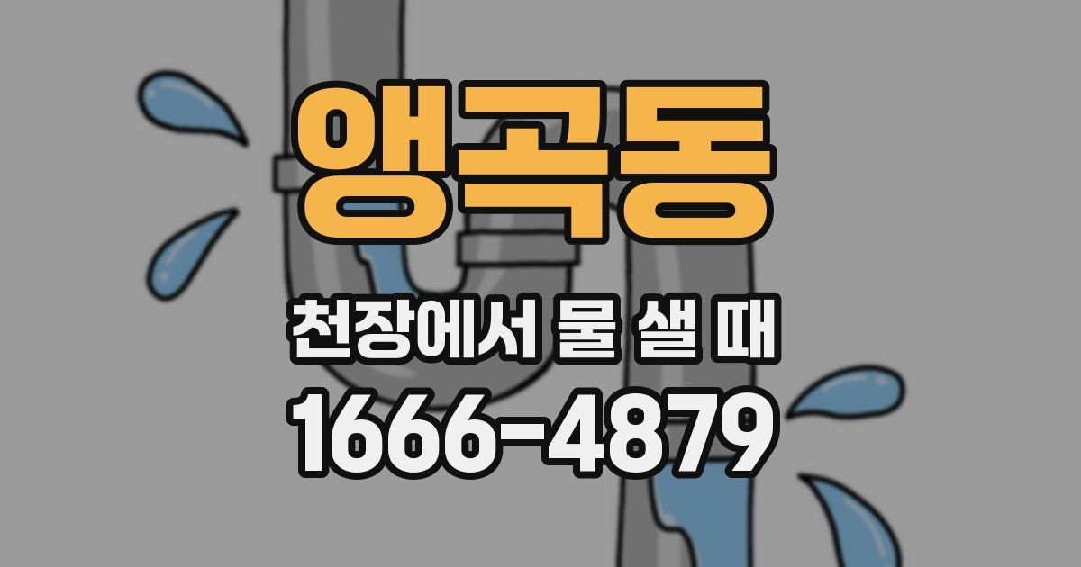 앵곡동 천장에서 물 샐 때