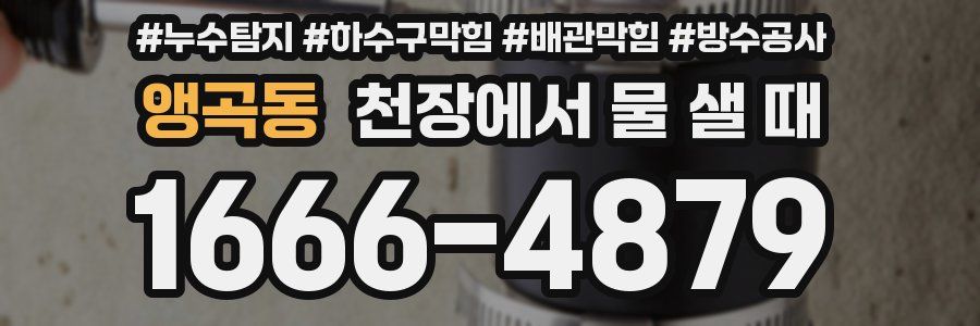 앵곡동 천장에서 물 샐 때