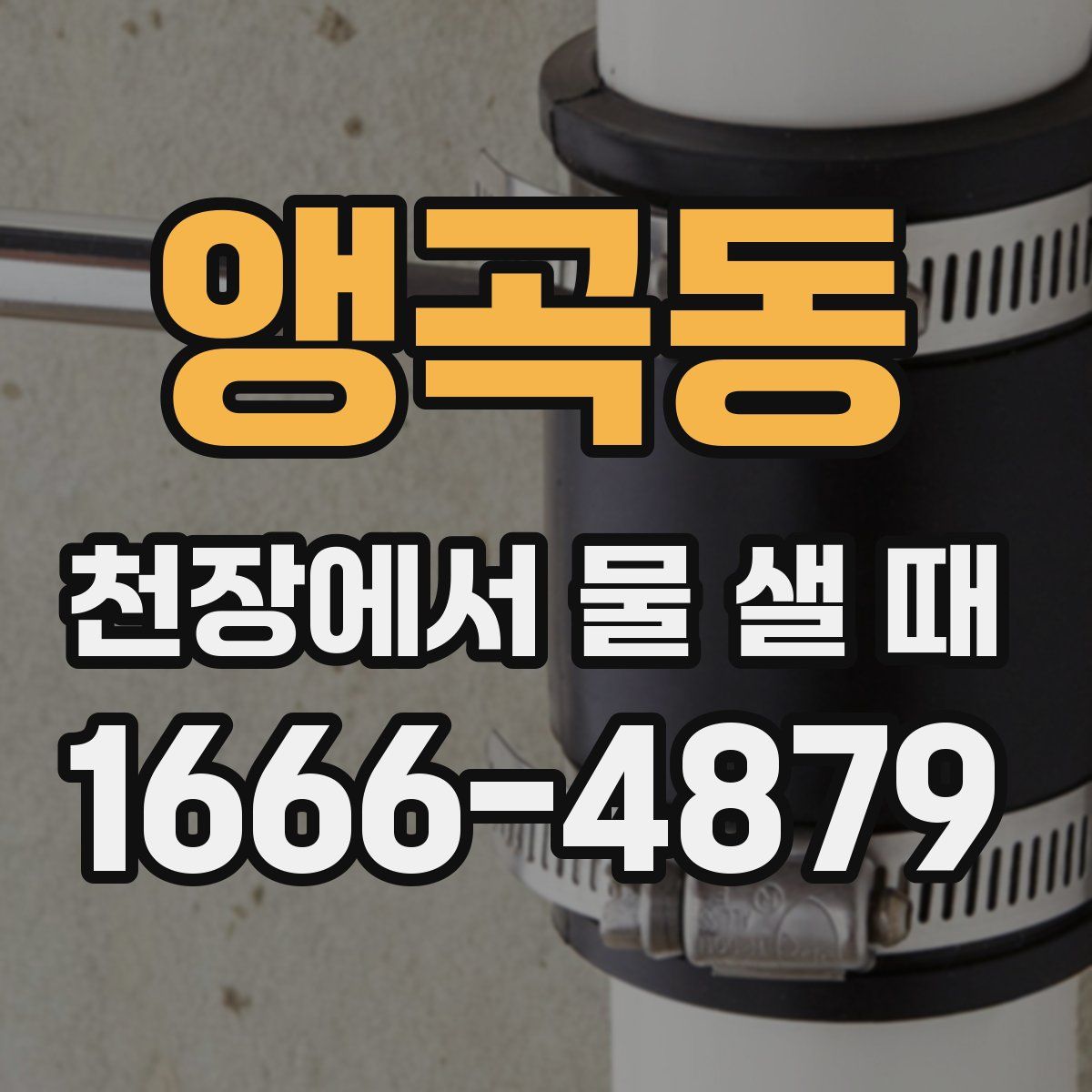 앵곡동 천장에서 물 샐 때