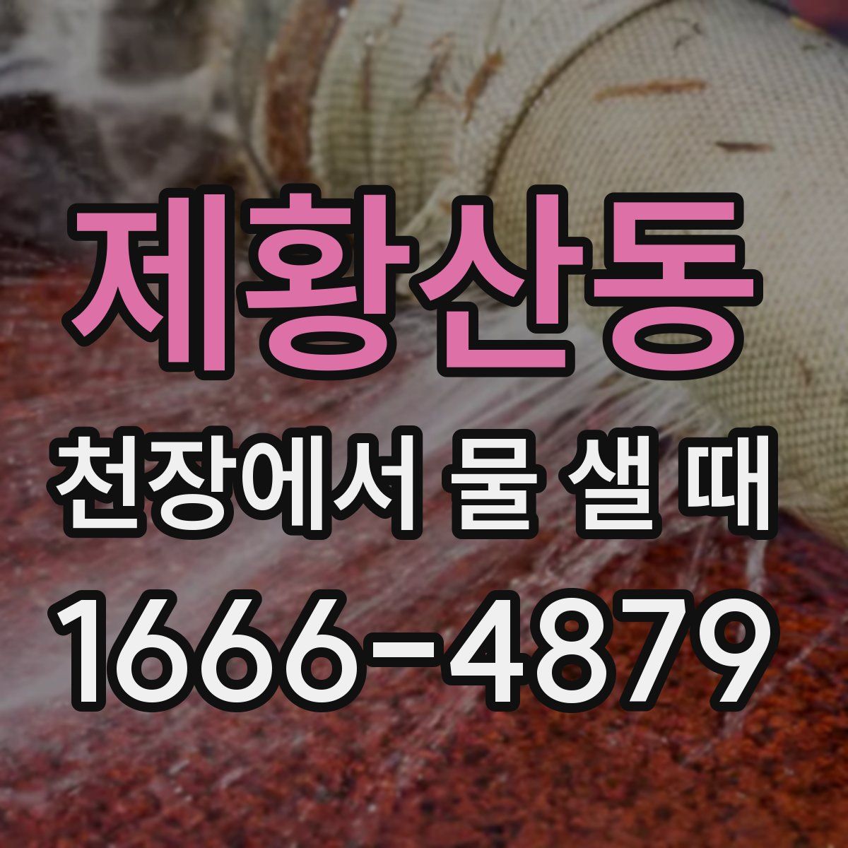 제황산동 천장에서 물 샐 때