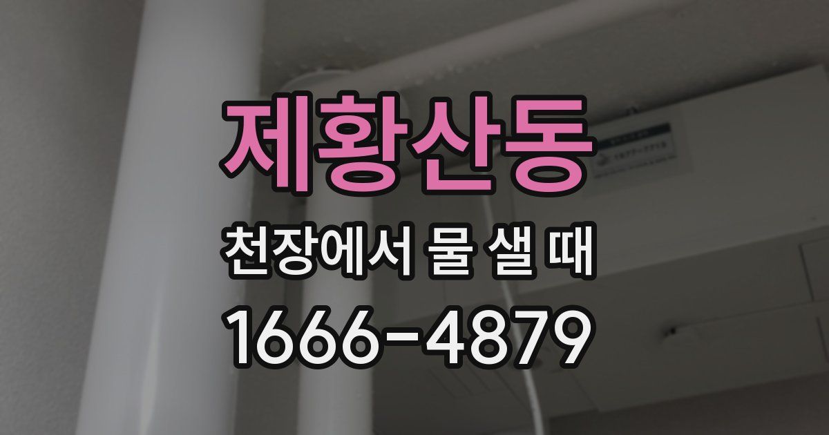 제황산동 천장에서 물 샐 때