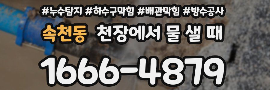 속천동 천장에서 물 샐 때