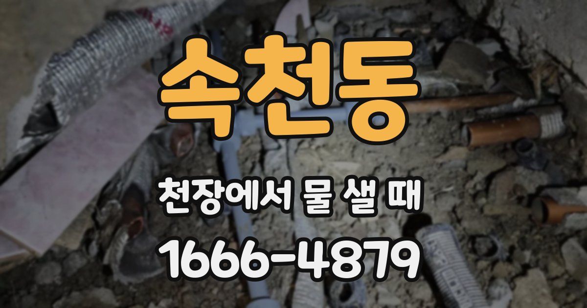 속천동 천장에서 물 샐 때