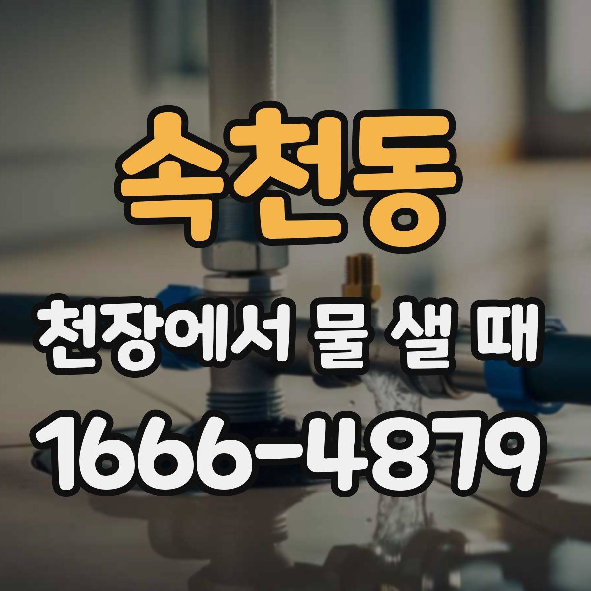 속천동 천장에서 물 샐 때