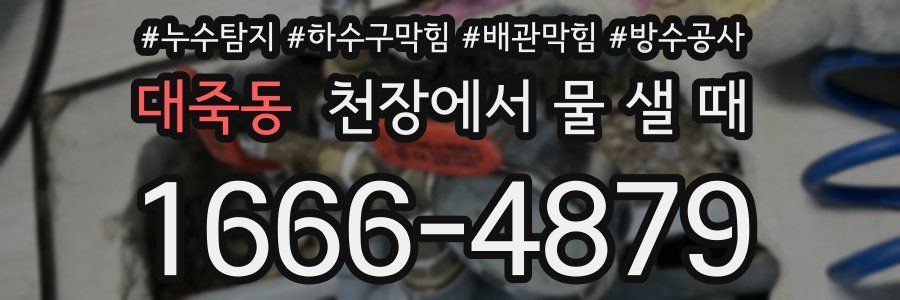 대죽동 천장에서 물 샐 때