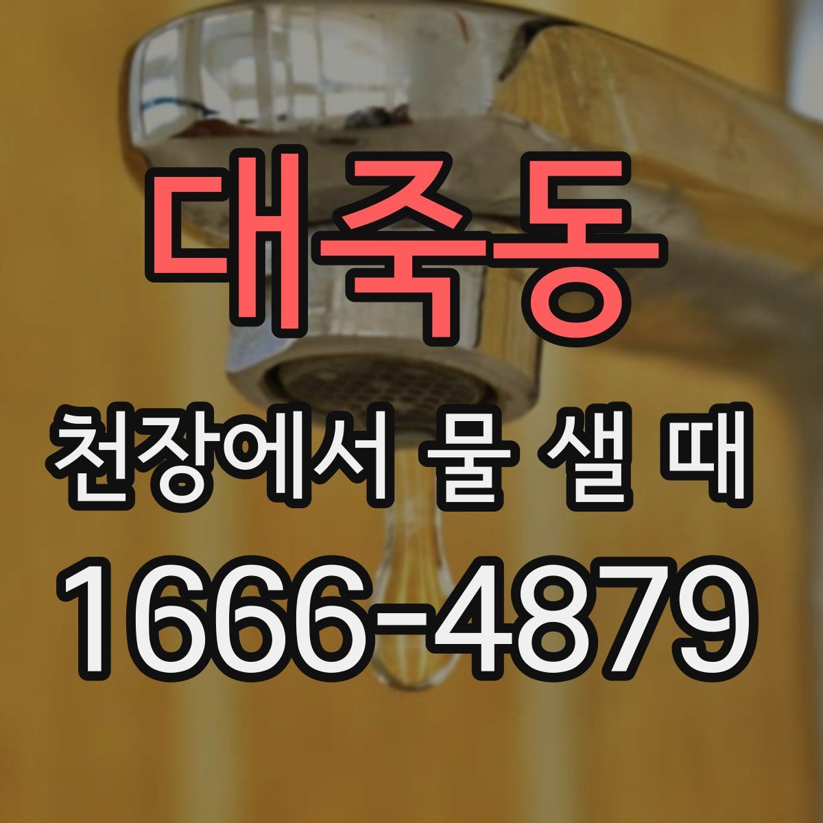 대죽동 천장에서 물 샐 때