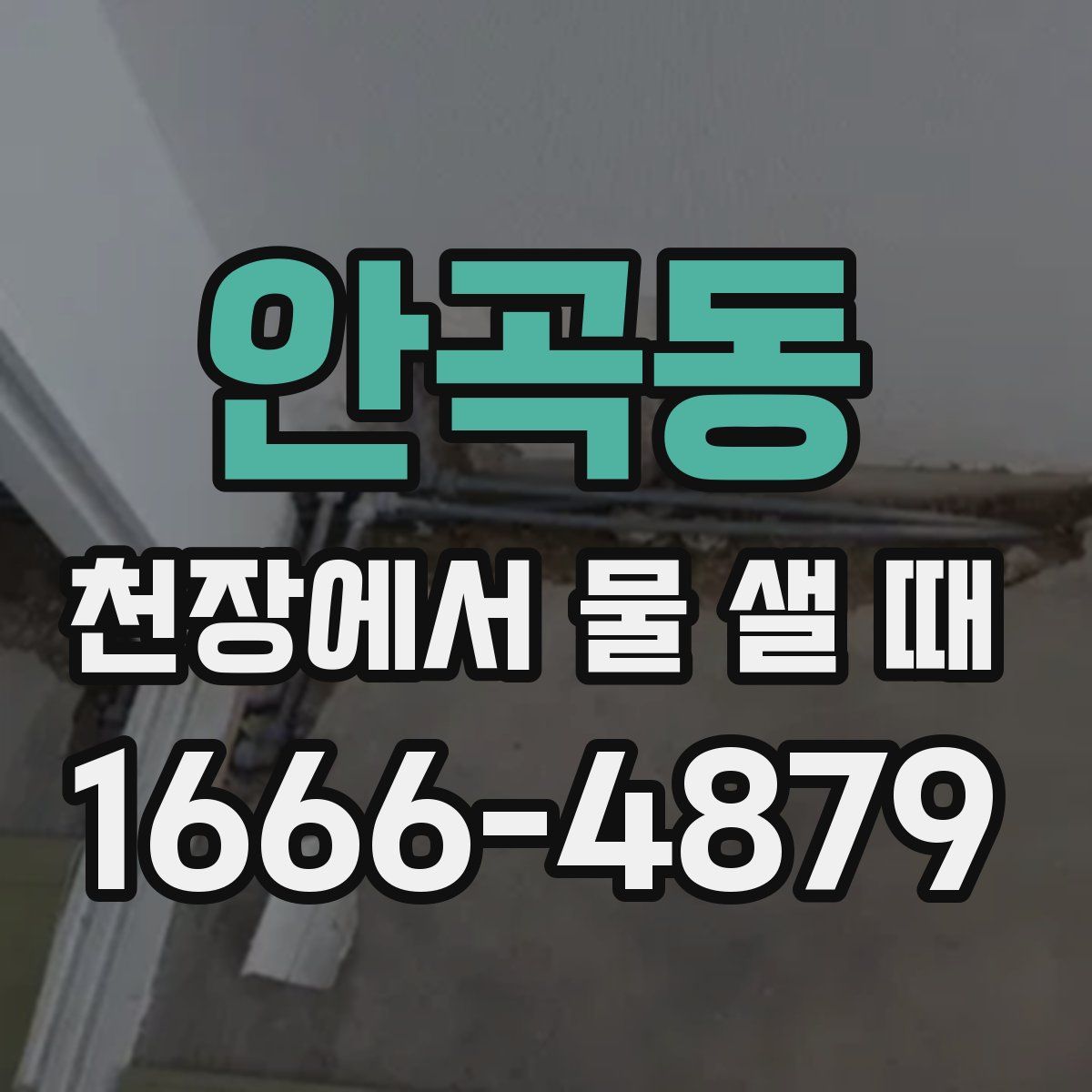 안곡동 천장에서 물 샐 때