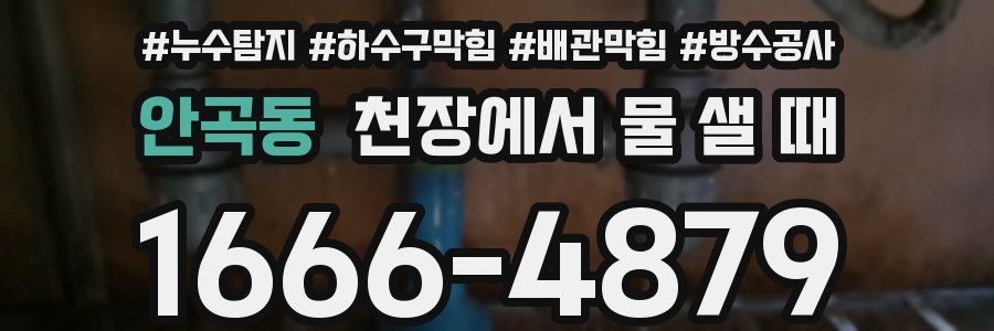 안곡동 천장에서 물 샐 때