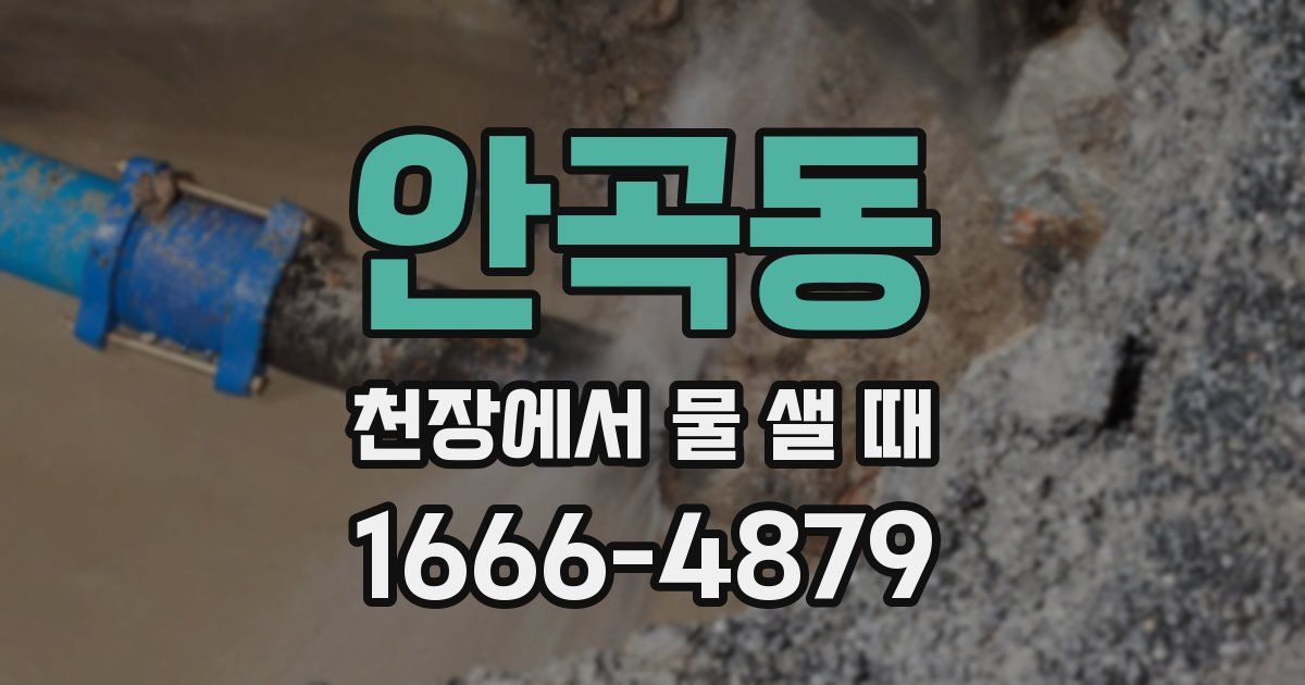 안곡동 천장에서 물 샐 때