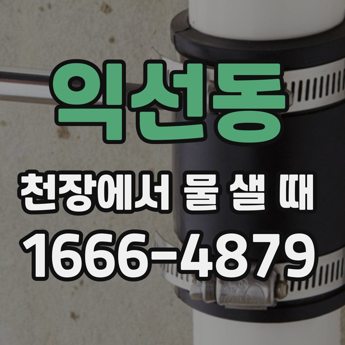 익선동 천장에서 물 샐 때