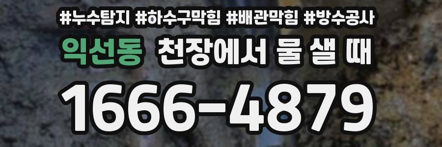 익선동 천장에서 물 샐 때