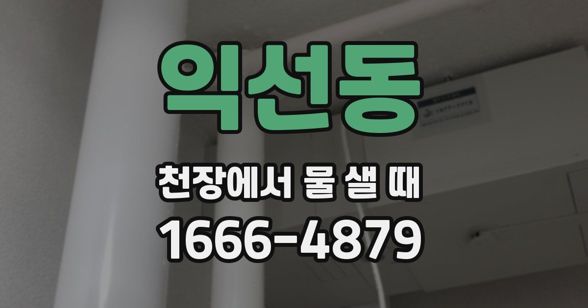 익선동 천장에서 물 샐 때