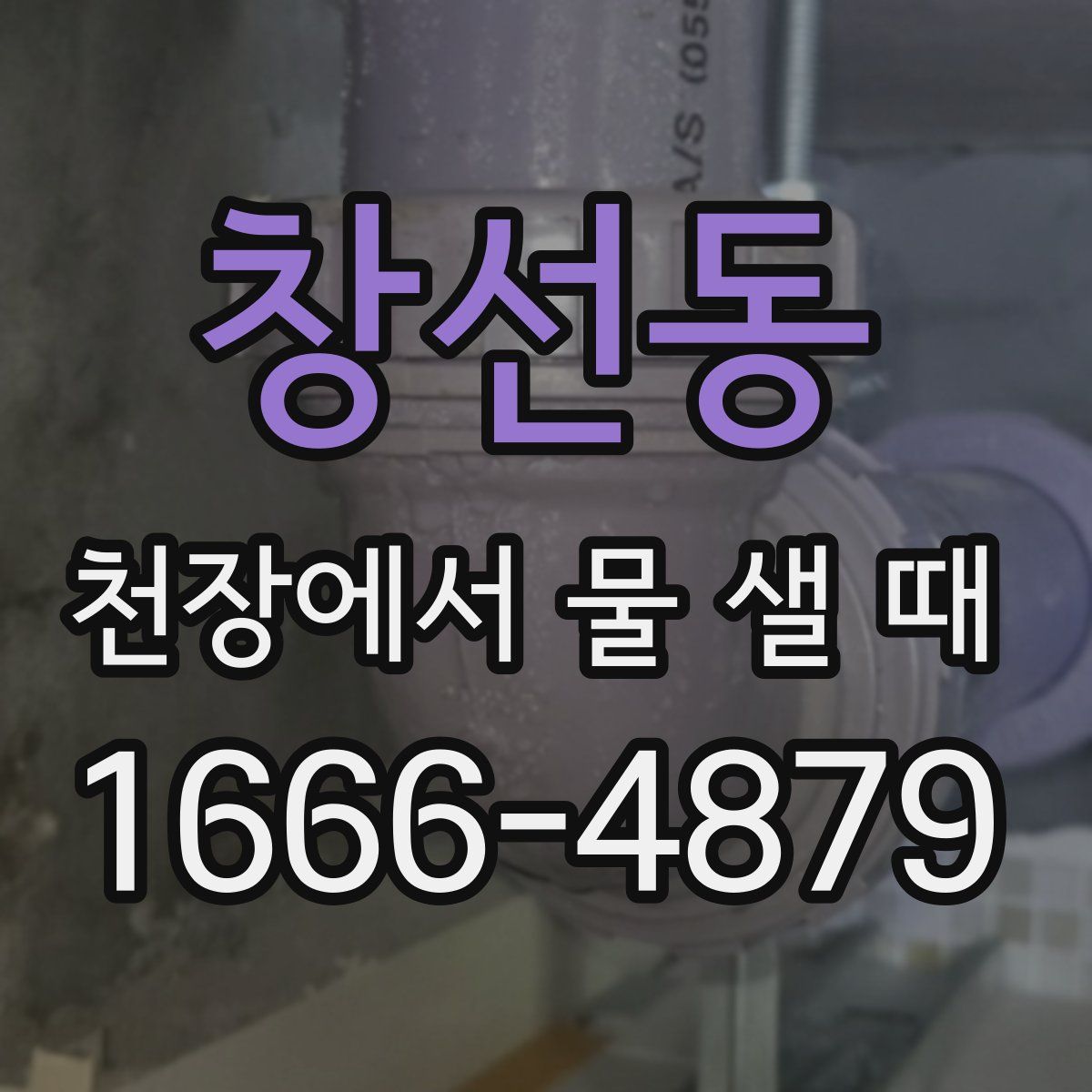 창선동 천장에서 물 샐 때