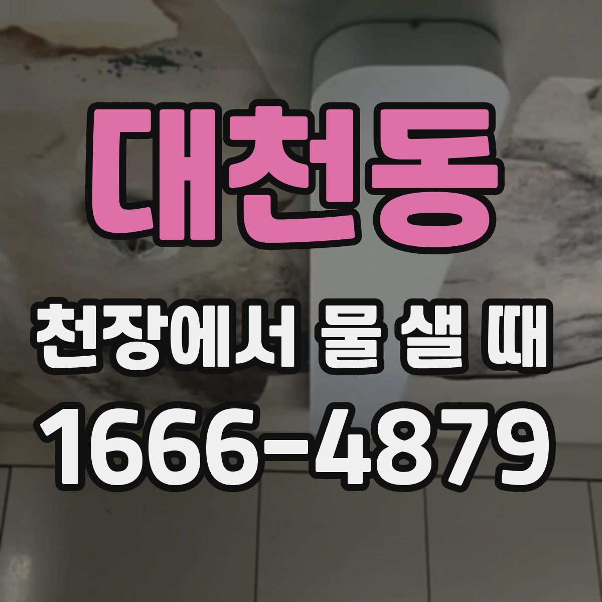 대천동 천장에서 물 샐 때