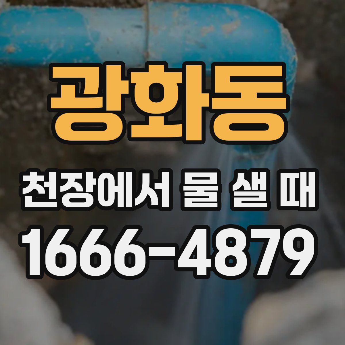 광화동 천장에서 물 샐 때