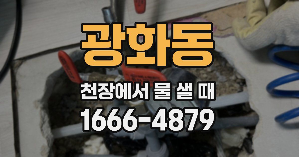 광화동 천장에서 물 샐 때