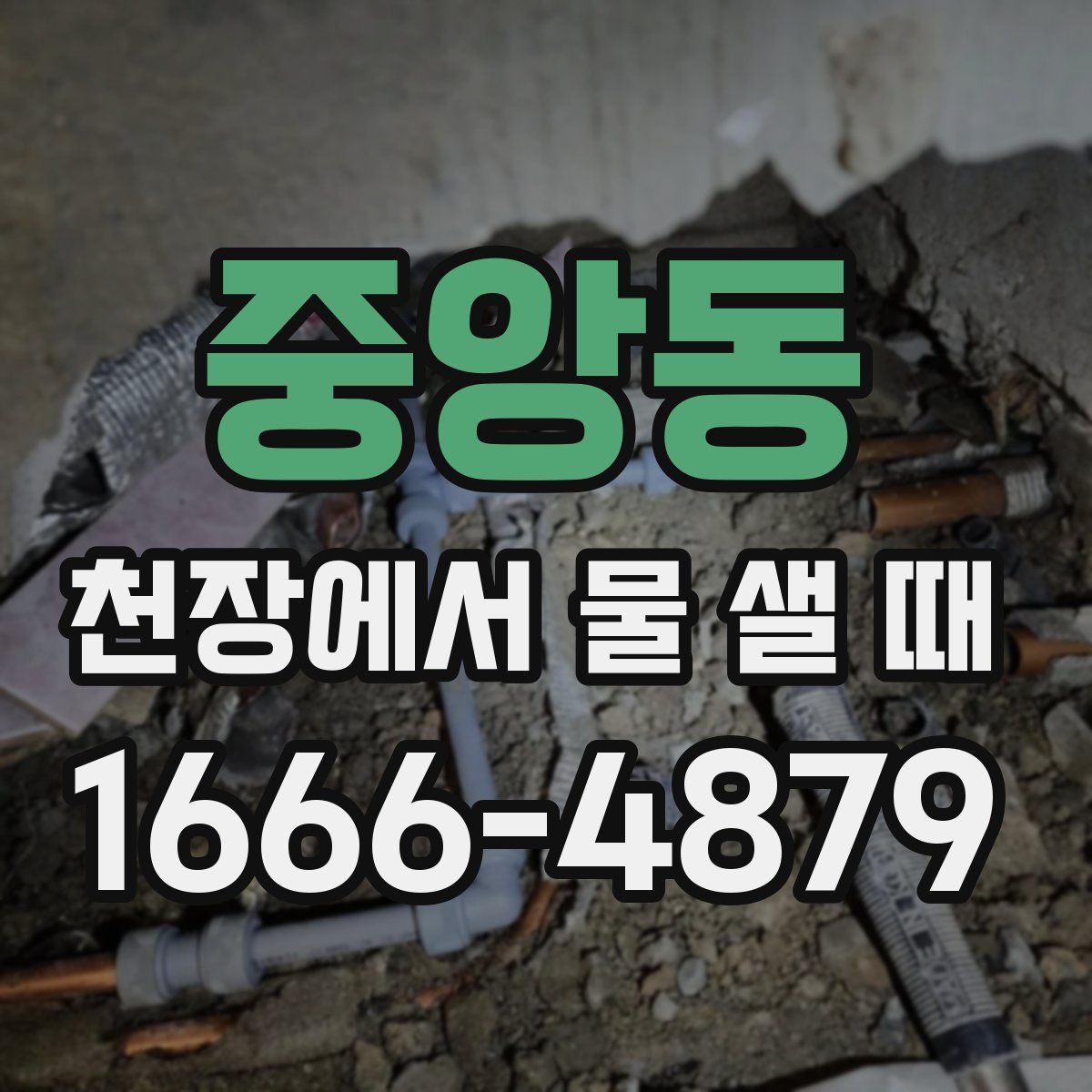 중앙동 천장에서 물 샐 때