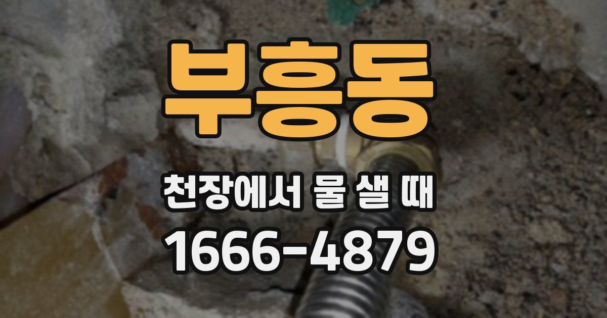 부흥동 천장에서 물 샐 때