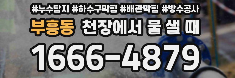 부흥동 천장에서 물 샐 때