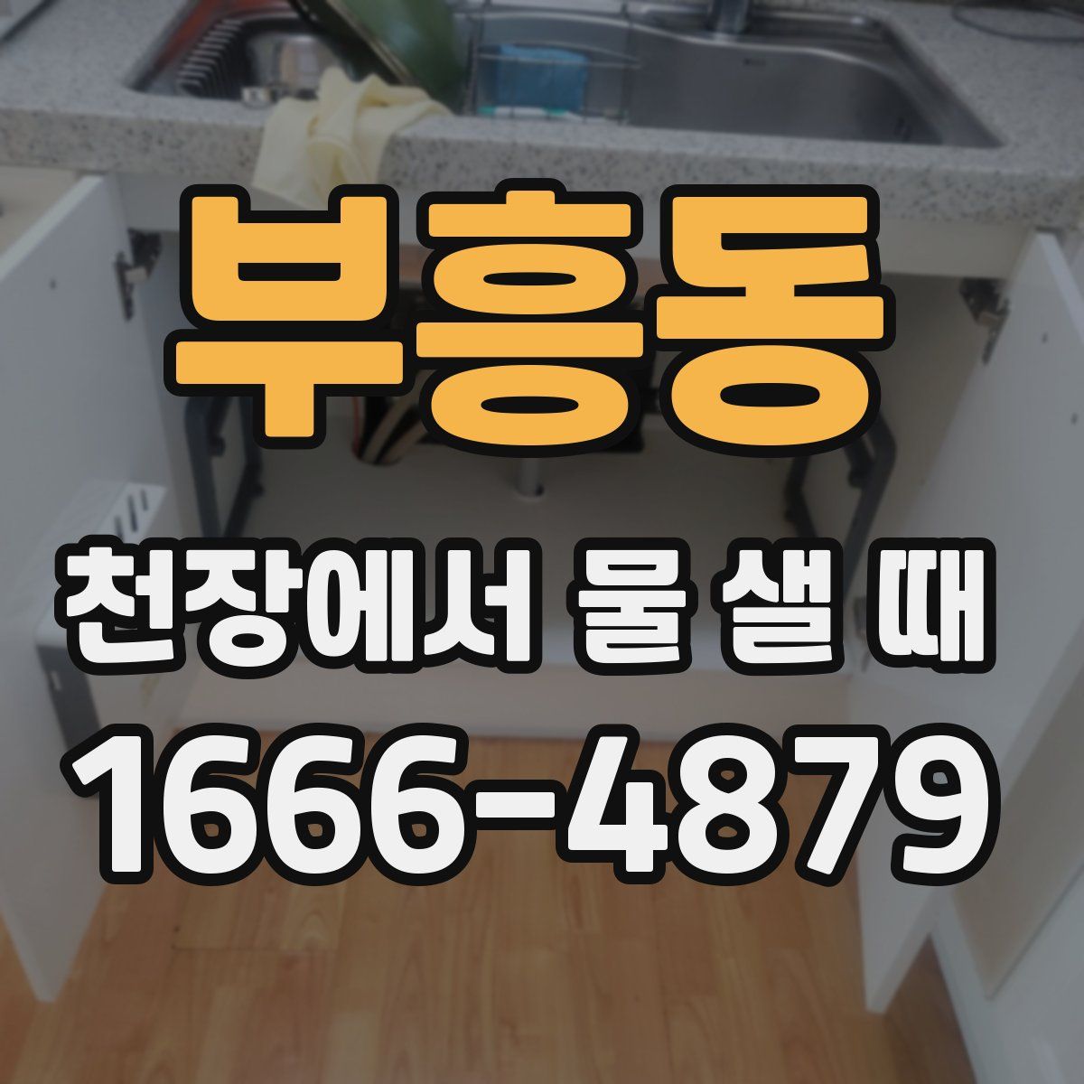 부흥동 천장에서 물 샐 때