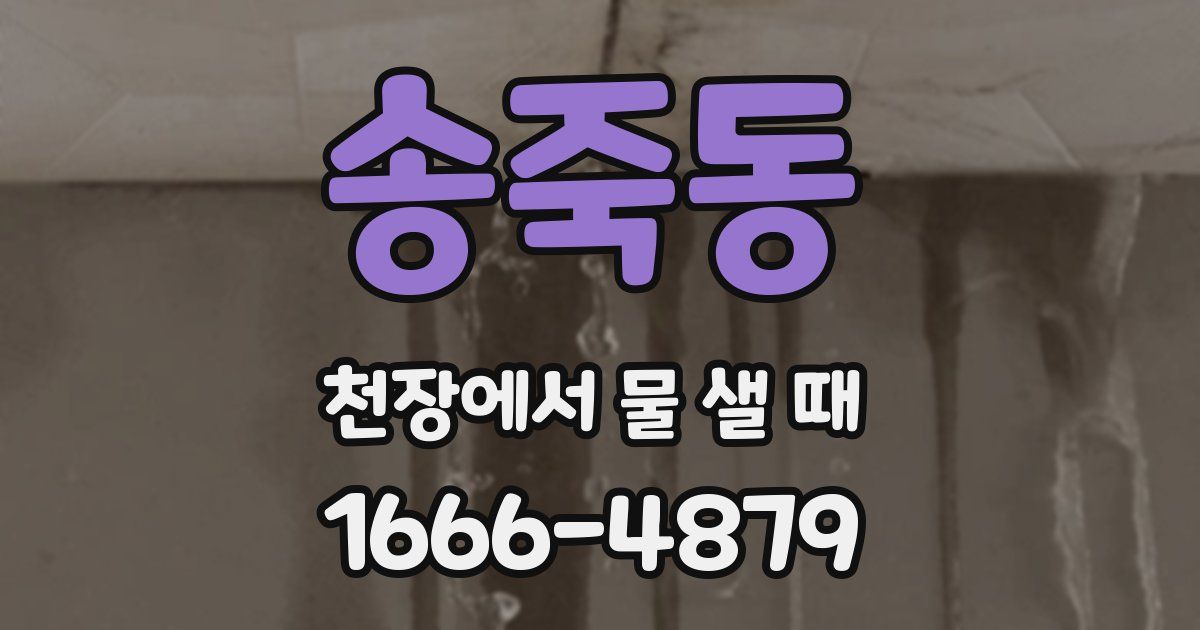 송죽동 천장에서 물 샐 때