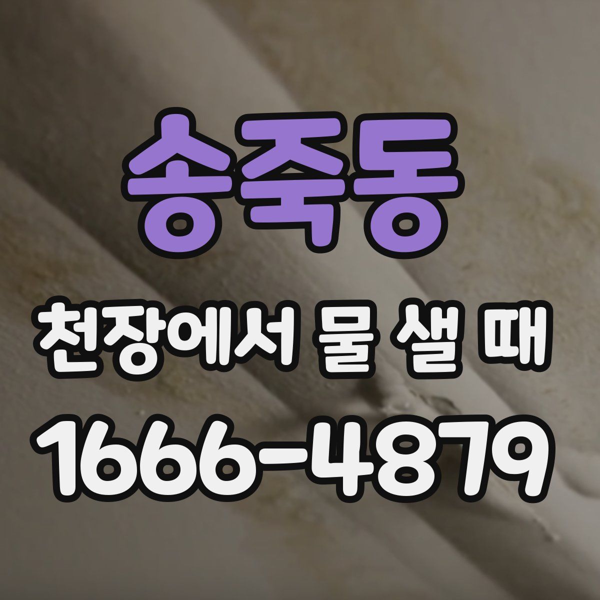 송죽동 천장에서 물 샐 때