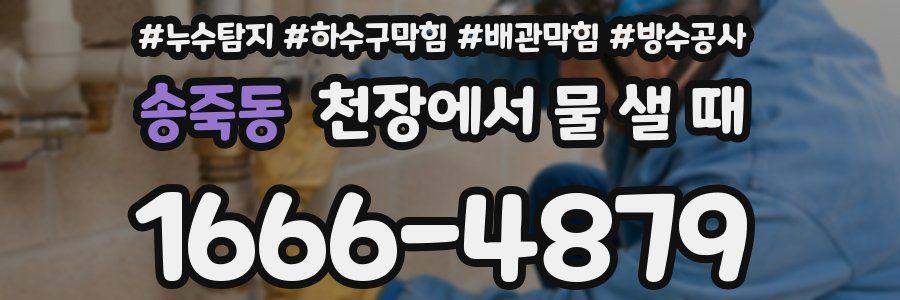 송죽동 천장에서 물 샐 때