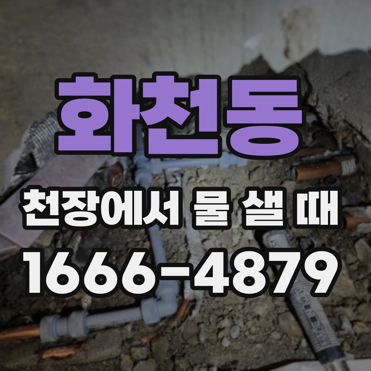 화천동 천장에서 물 샐 때