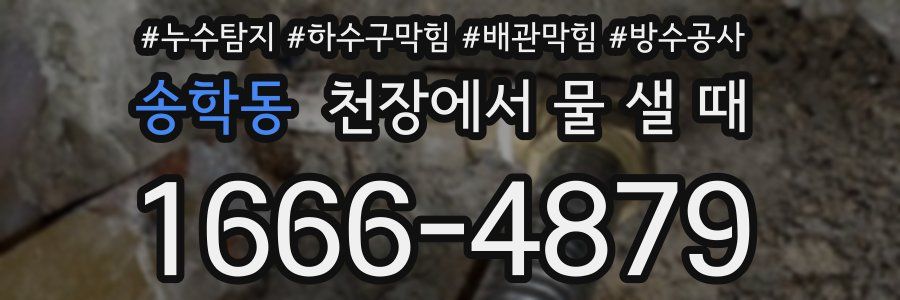 송학동 천장에서 물 샐 때