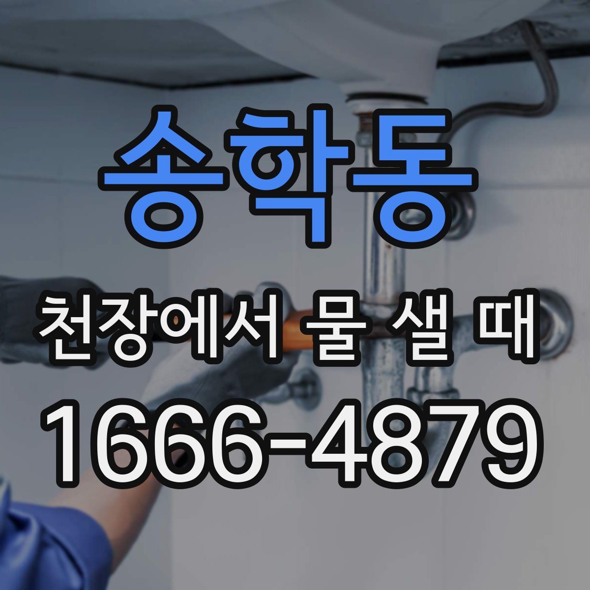 송학동 천장에서 물 샐 때